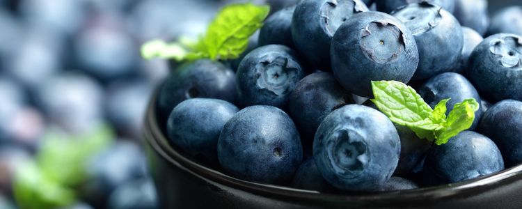 Blåbær blir av mange beskrevet som supermat. Høy i antioksidanter, og et flott supplement for sunt vekttap.