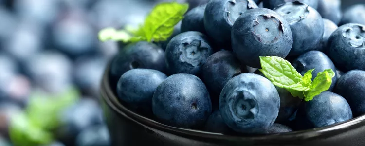 Blåbær blir av mange beskrevet som supermat. Høy i antioksidanter, og et flott supplement for sunt vekttap.